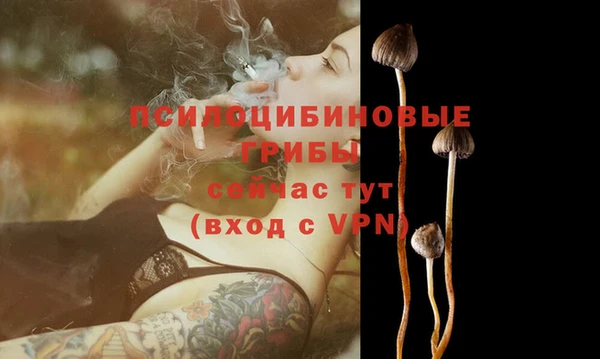 ГАЛЛЮЦИНОГЕННЫЕ ГРИБЫ Балахна