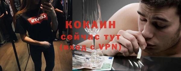 ГАЛЛЮЦИНОГЕННЫЕ ГРИБЫ Балахна