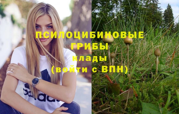 ГАЛЛЮЦИНОГЕННЫЕ ГРИБЫ Балахна
