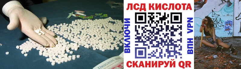 дарнет шоп  Красный Холм  Лсд 25 экстази кислота 