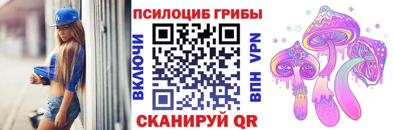 Псилоцибиновые грибы Cubensis  хочу наркоту  Красный Холм 